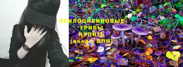 альфа пвп Медвежьегорск