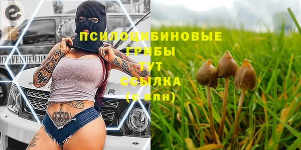 альфа пвп Медвежьегорск