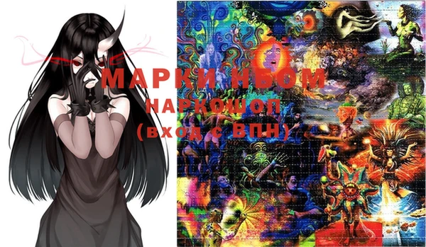стафф Медногорск