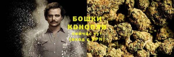 стафф Медногорск