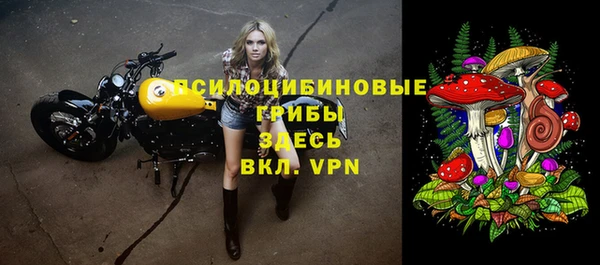 стафф Медногорск