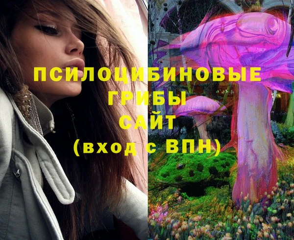 мдпв Мегион