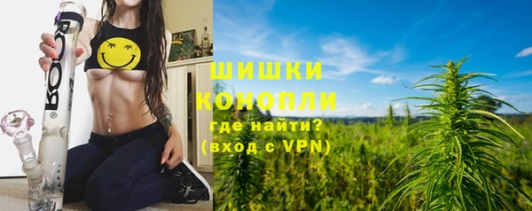 мдпв Мегион
